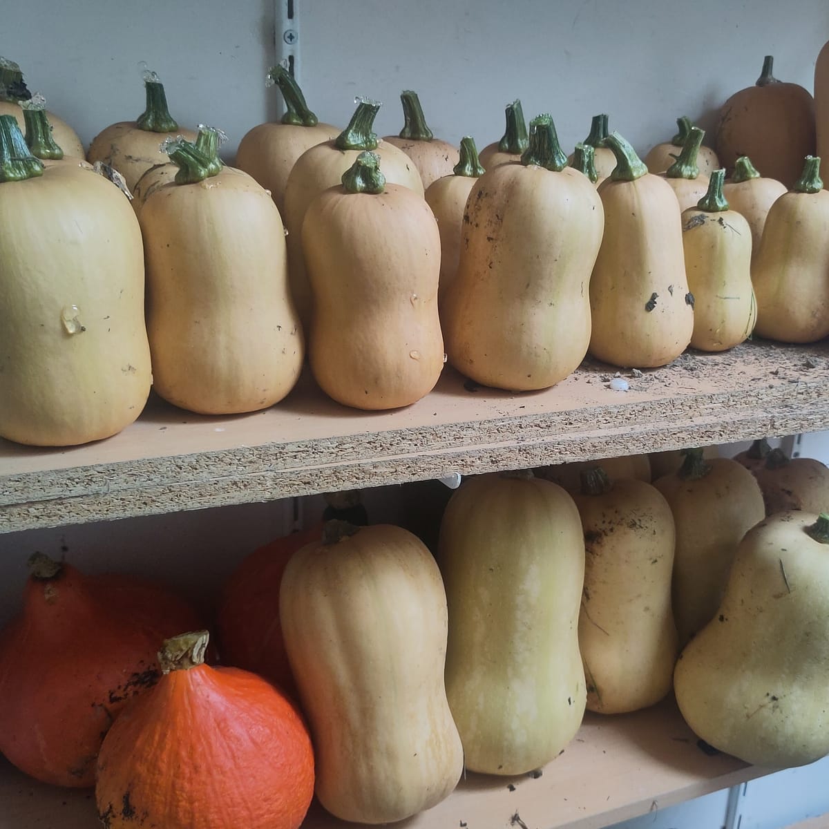 Bilan de production 2025