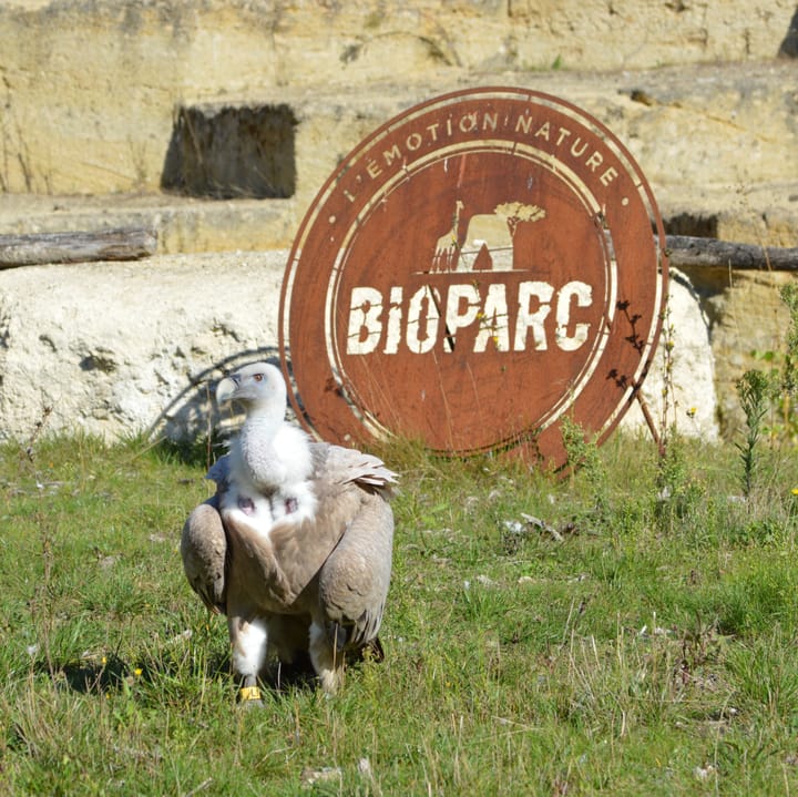 BioParc 2025
