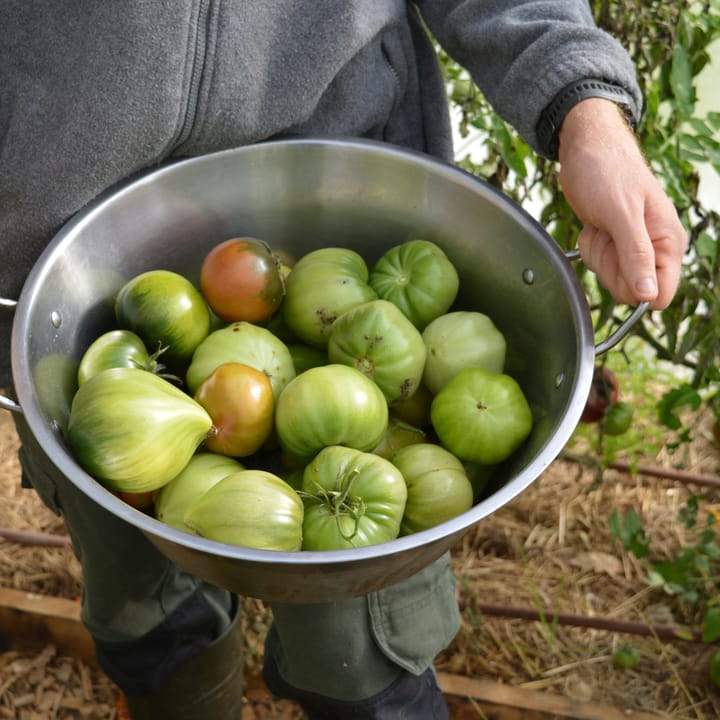 Confiture de... tomates !