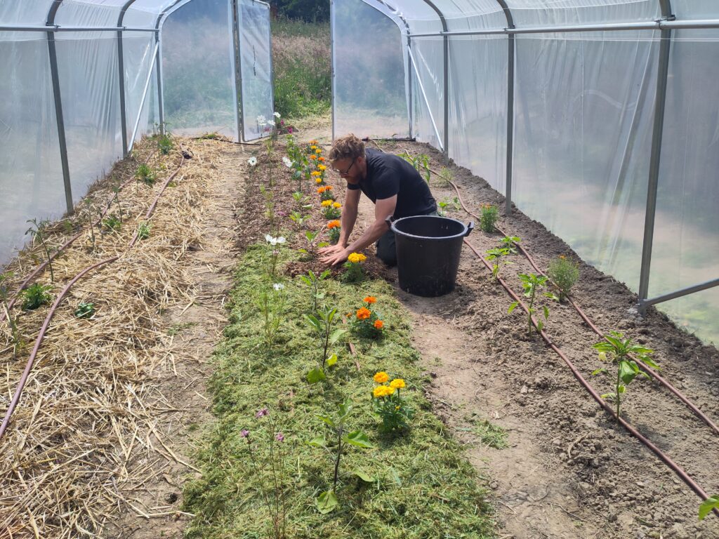 Serre plantée