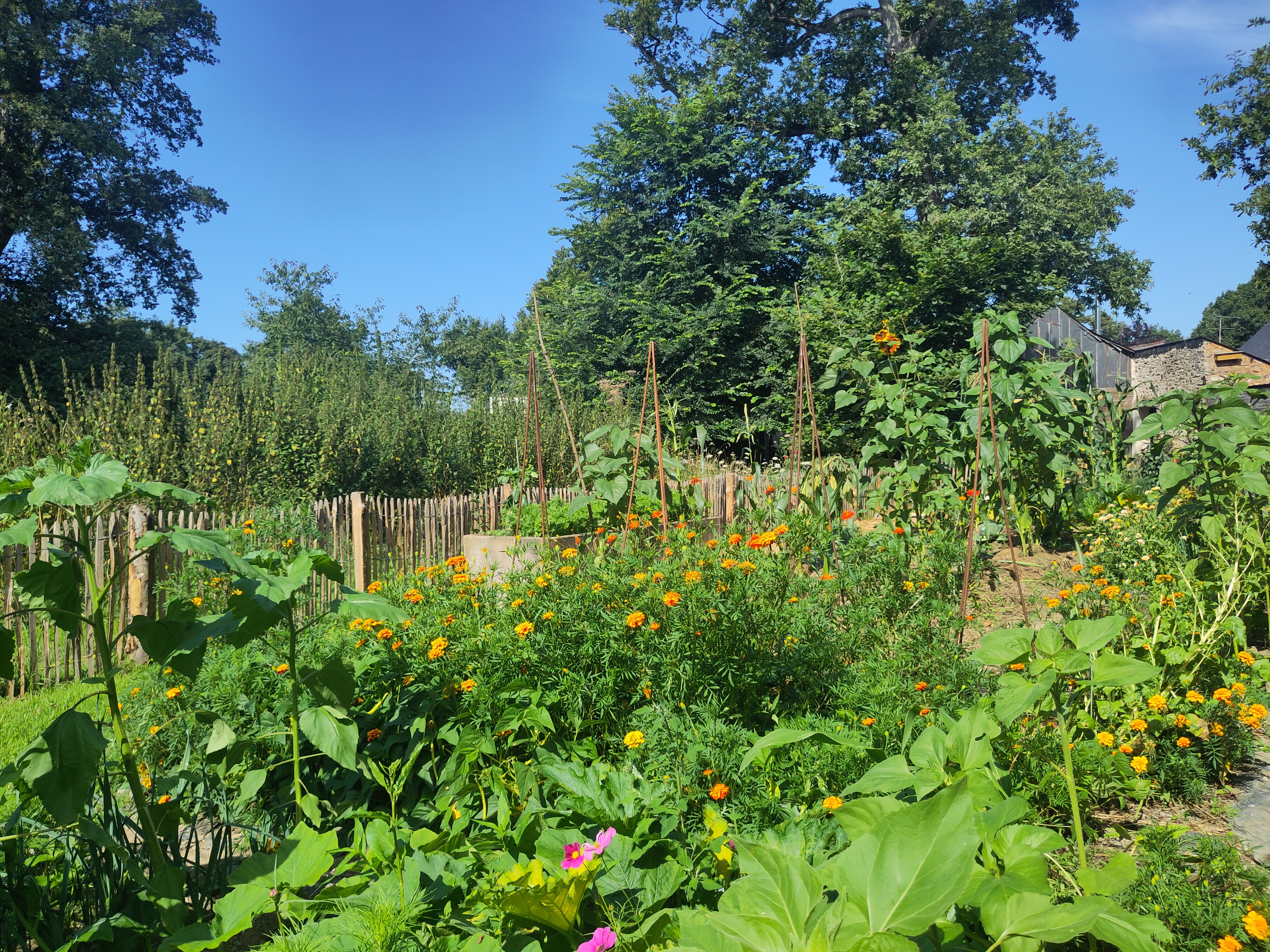 Potager