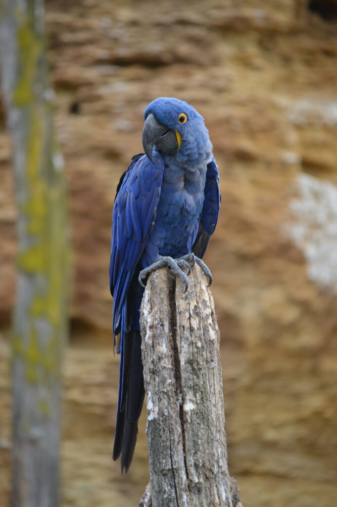 Bioparc - 5