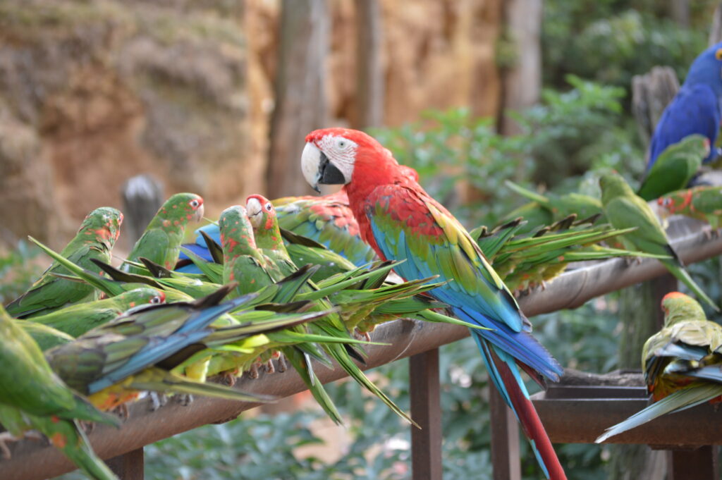 Bioparc - 5