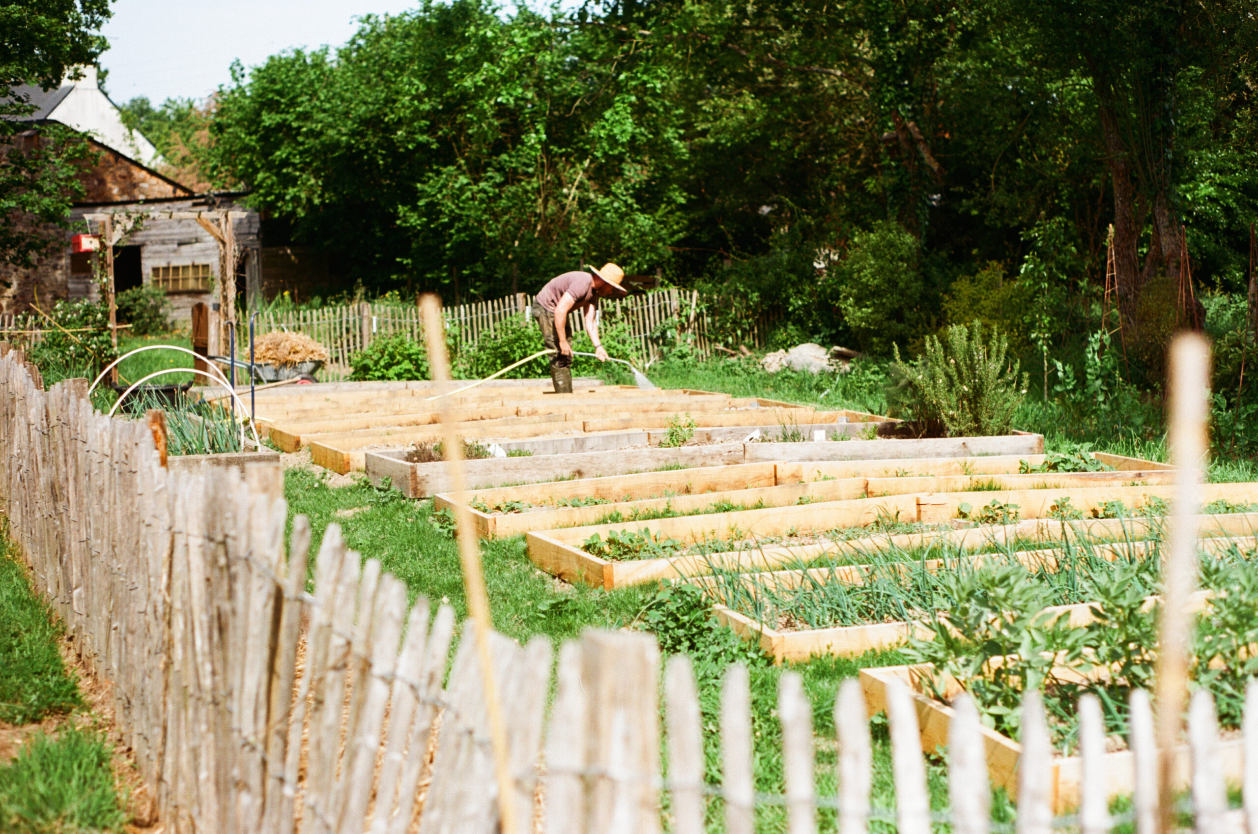Un nouveau potager
