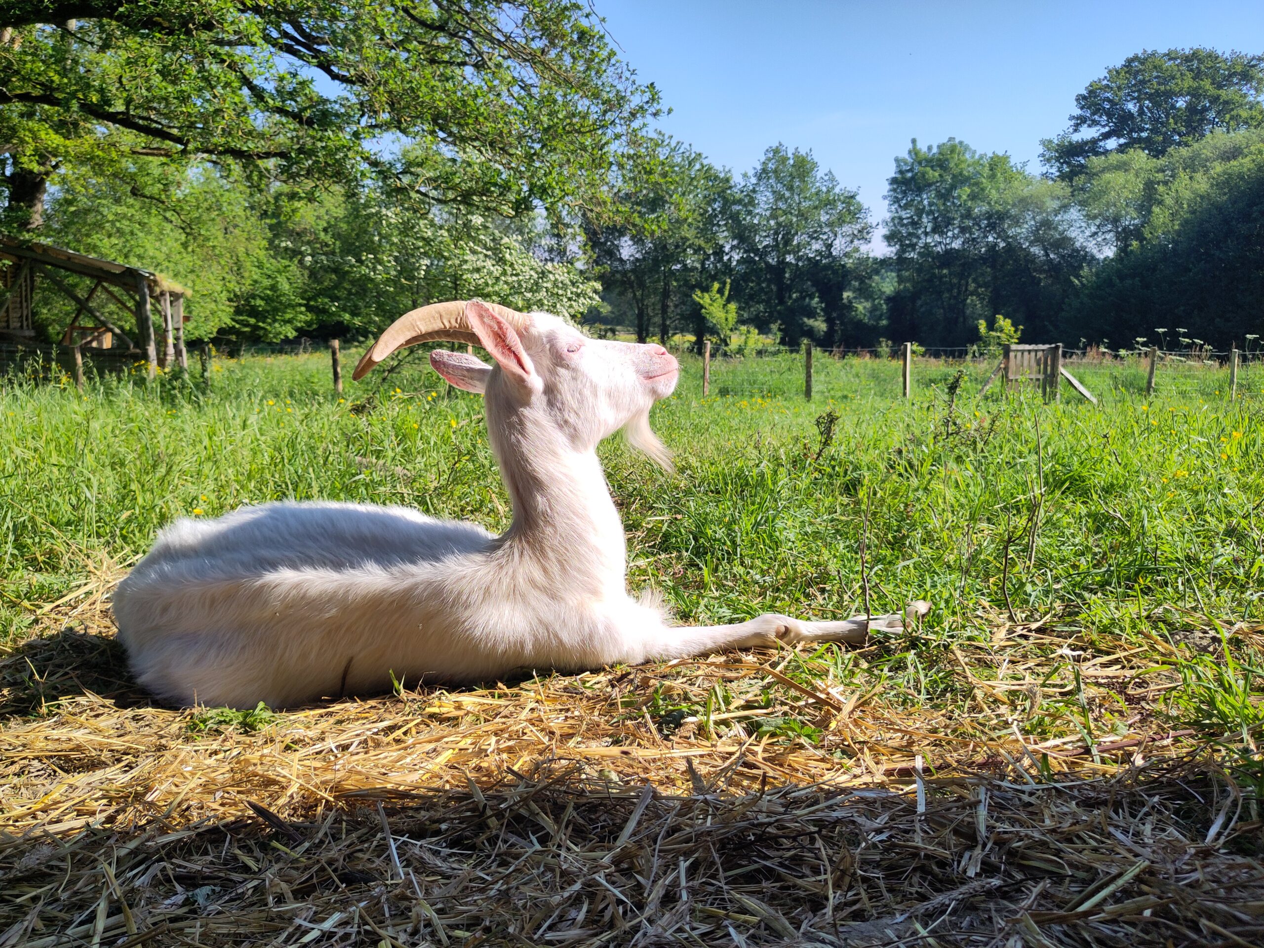 C&rsquo;était la plus belle