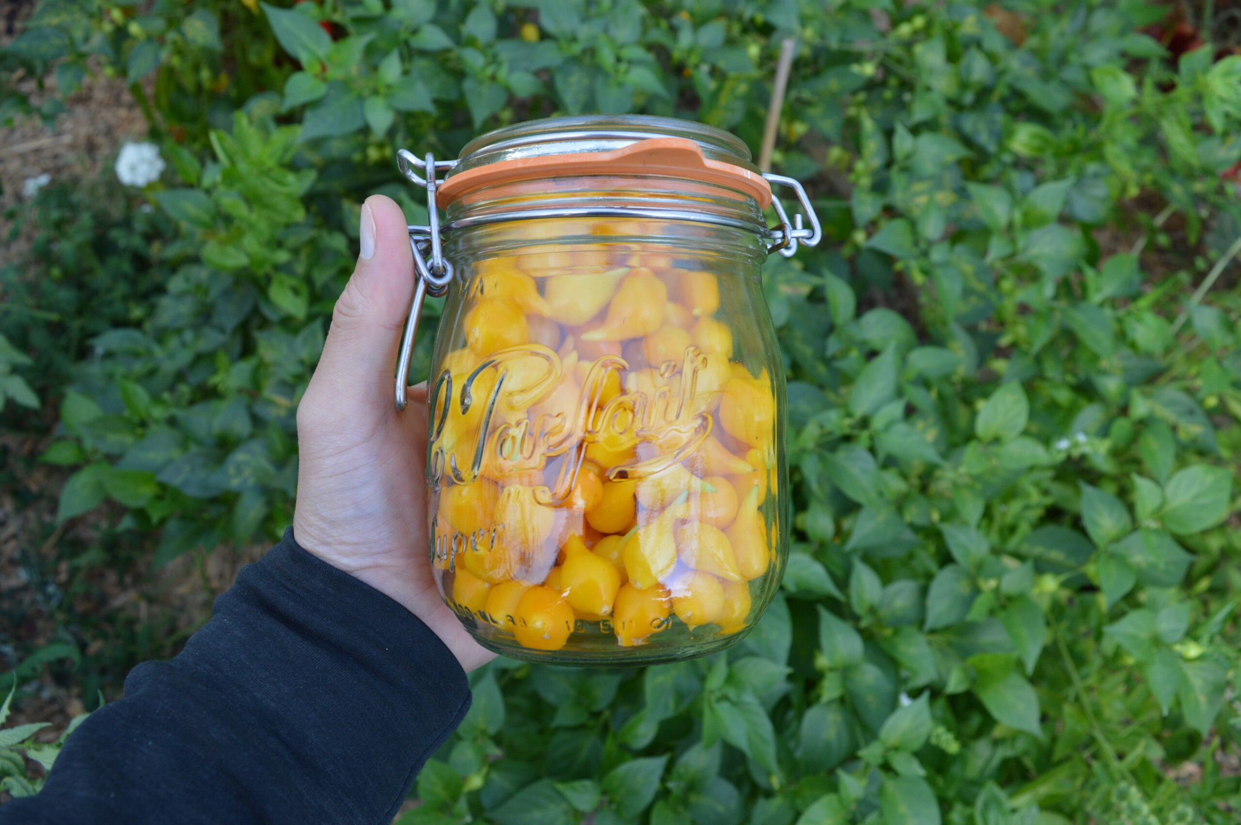 Bilan de production 2025