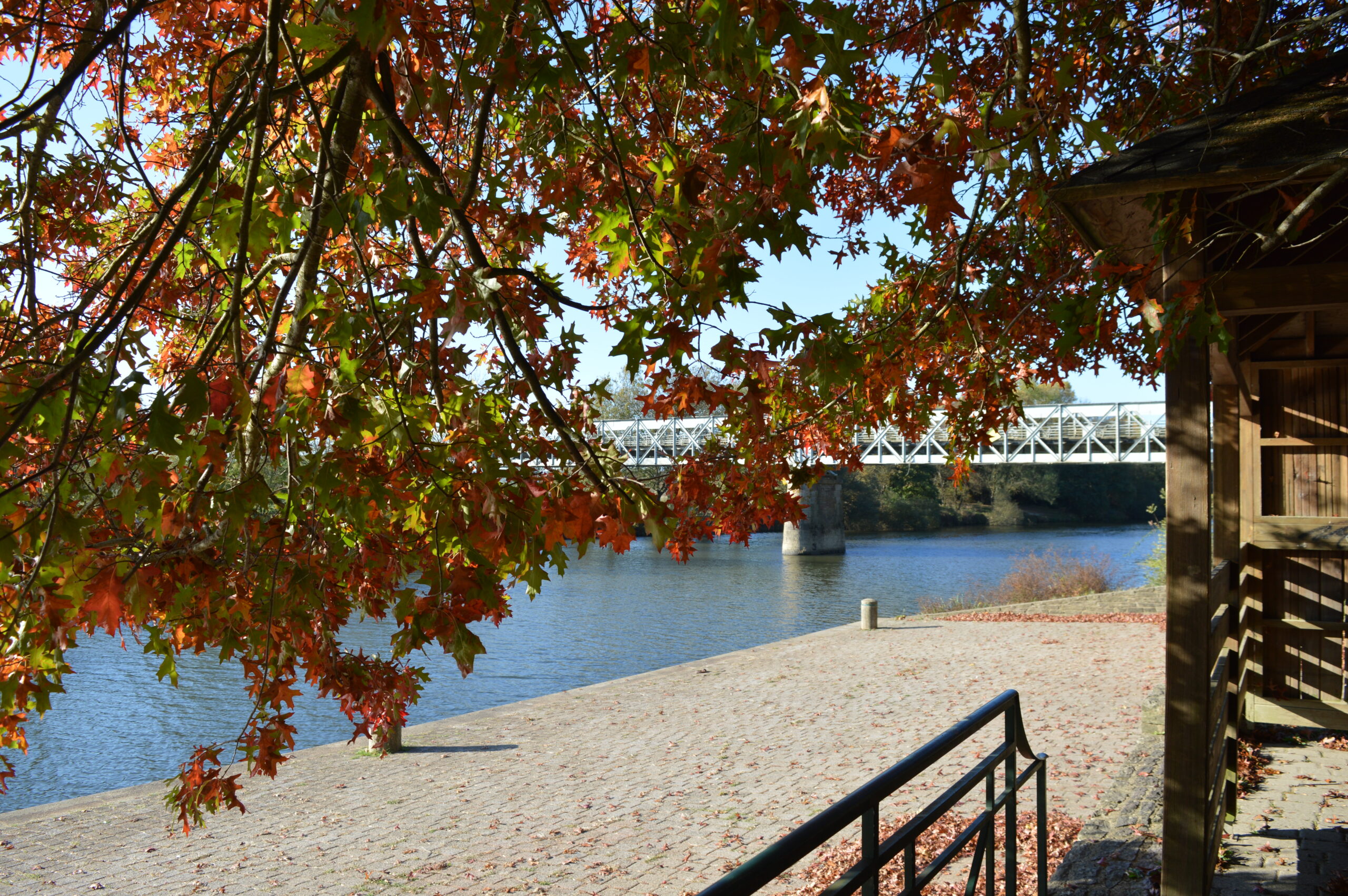 Elle est belle la Vilaine !