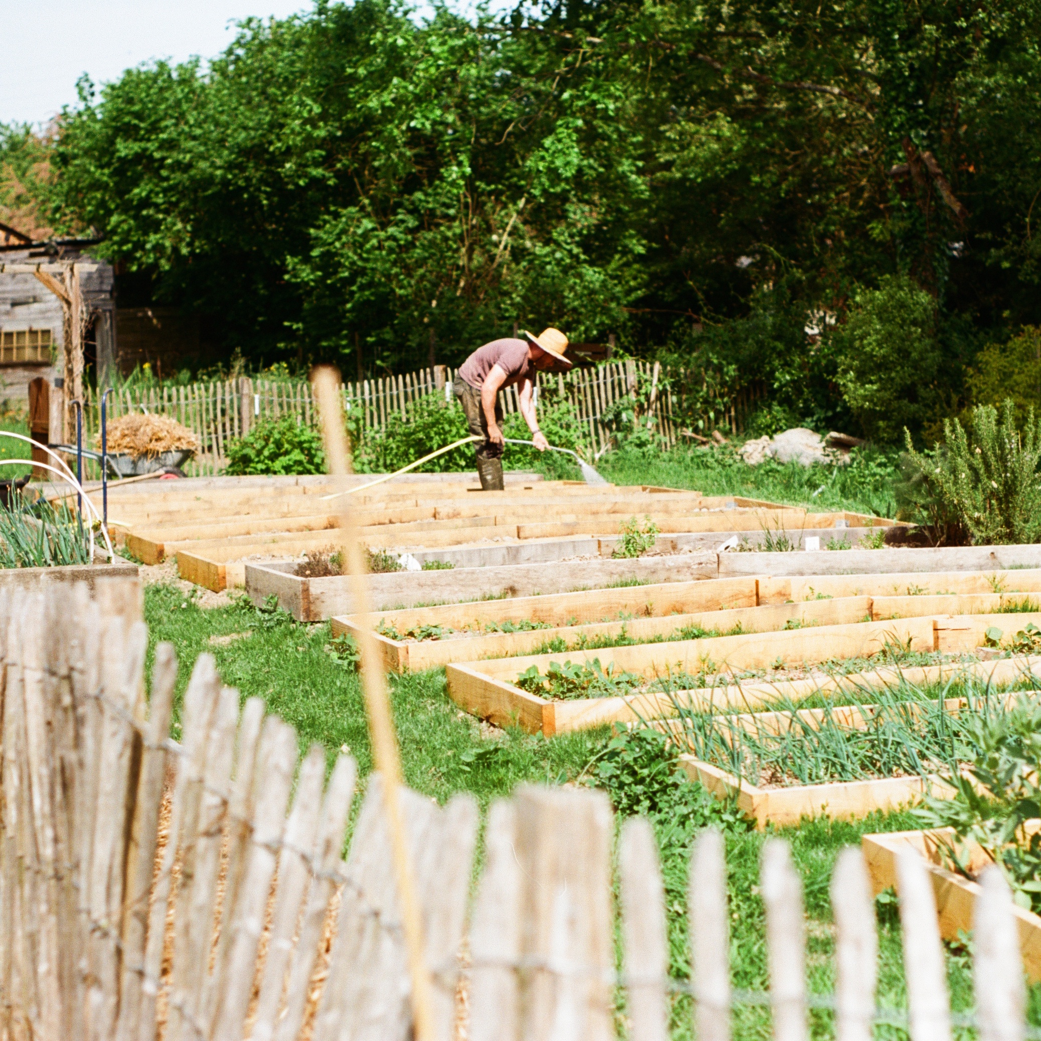 Un nouveau potager