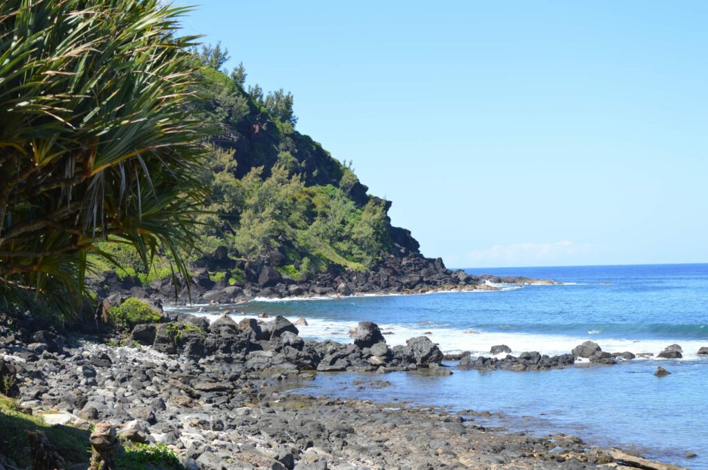 2023 - Réunion 1