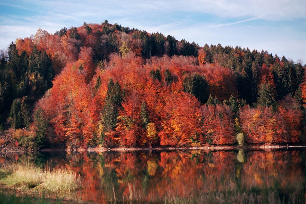 Lac automne