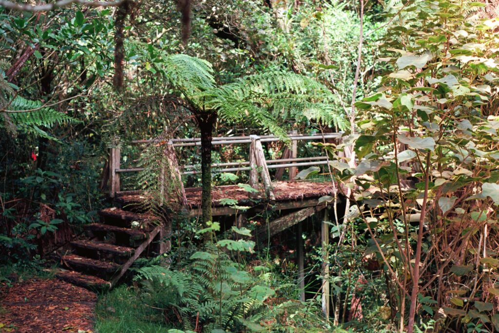 Réunion, pont