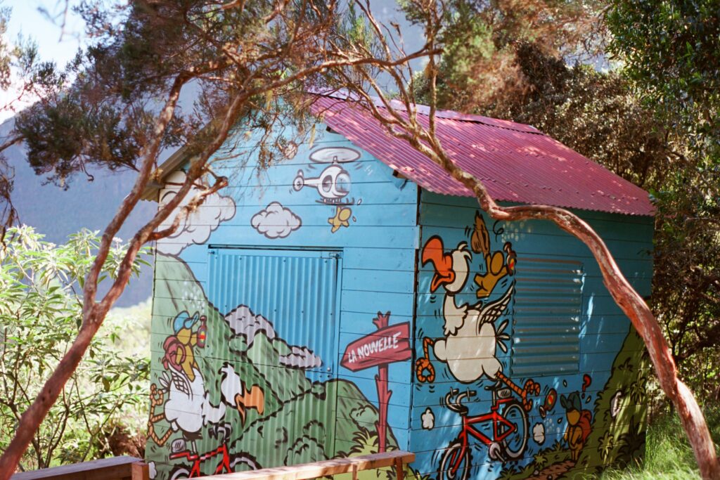 Réunion, dodo