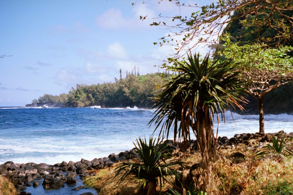 Réunion, côte