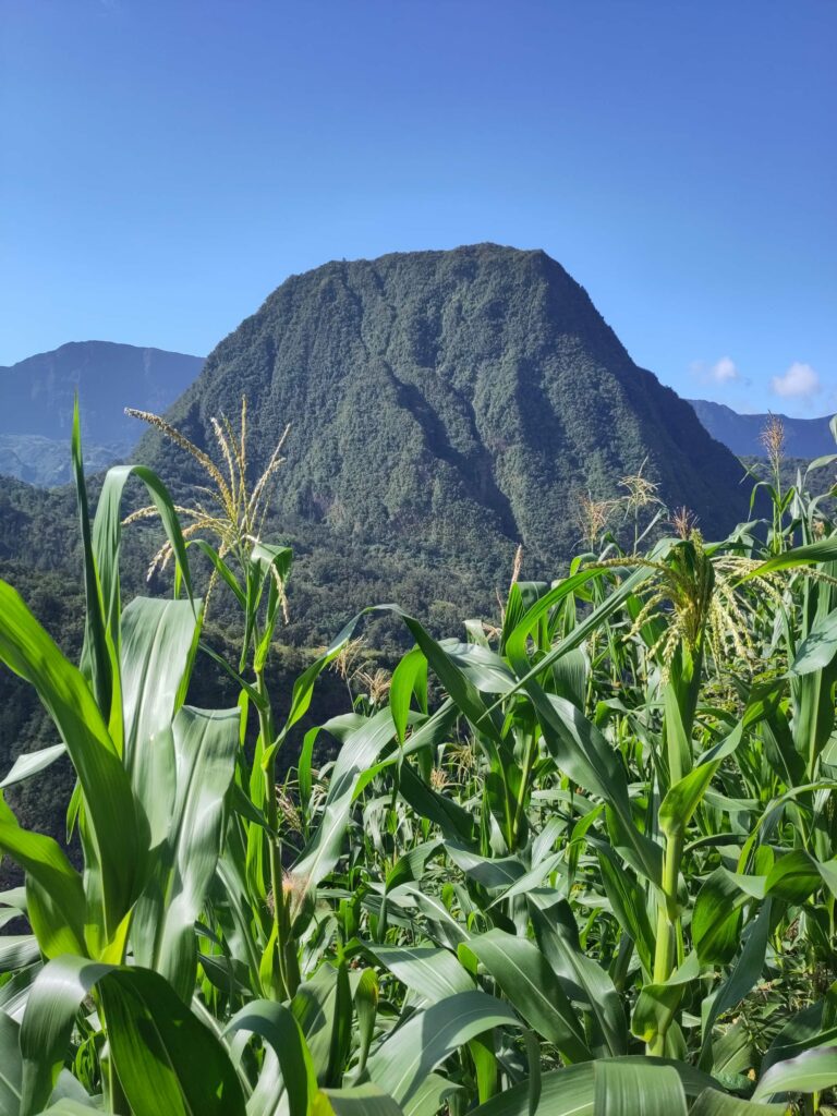 2023 - Réunion 4