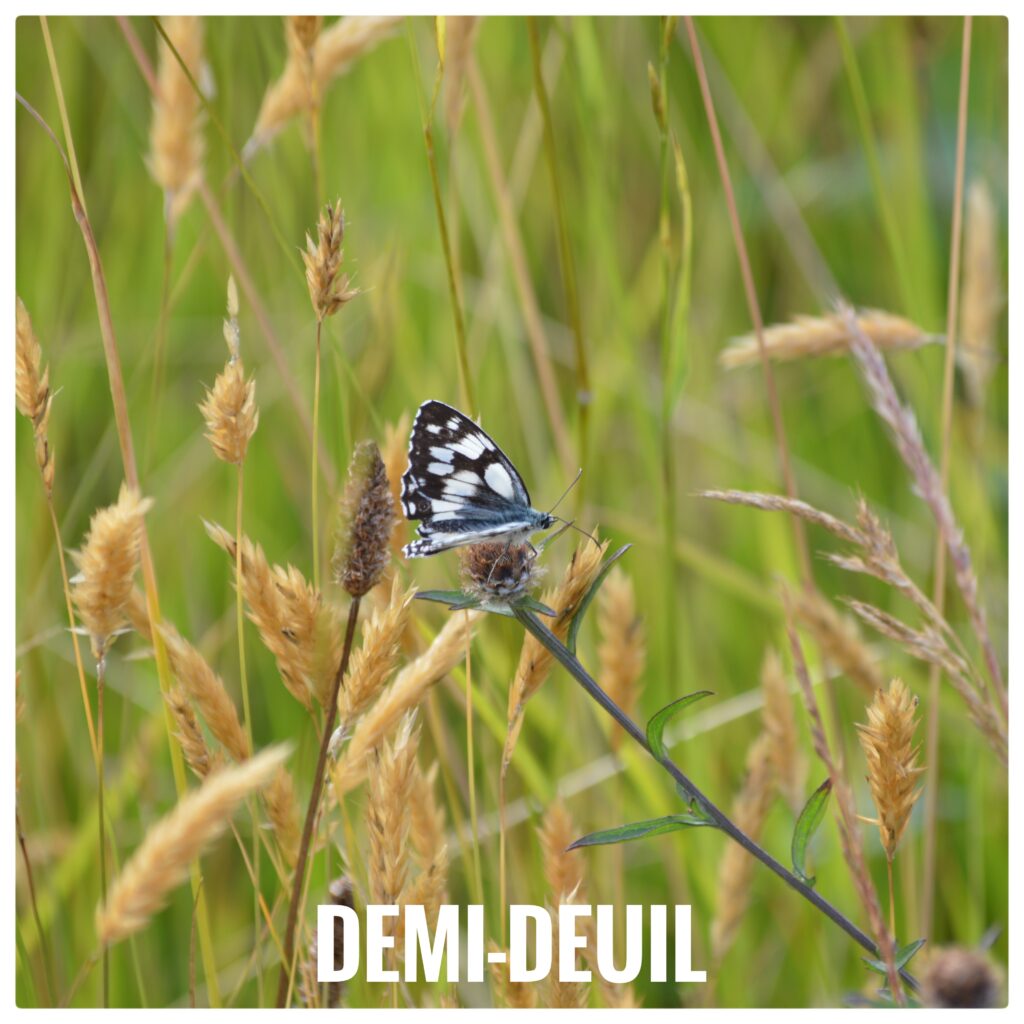 Demi deuil