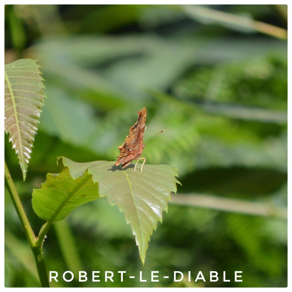 Robert le diable